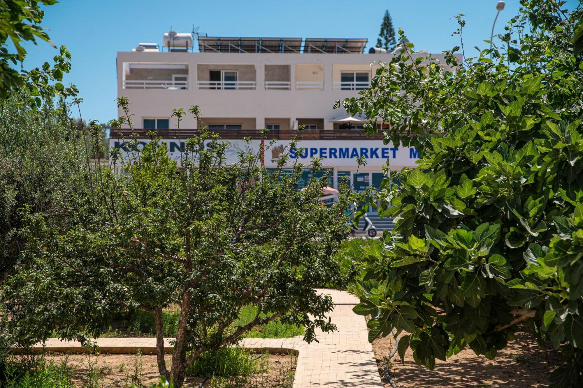 Villa Konnos Ekaterina
